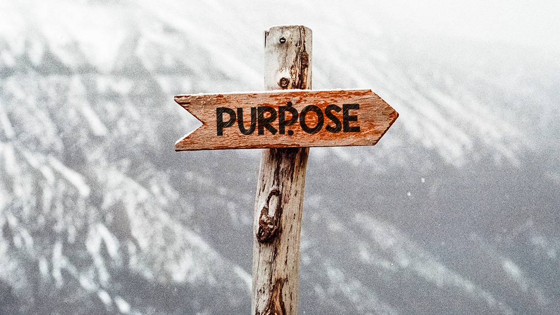 Purpose Can't Be Marketing-Driven | DistrictWON